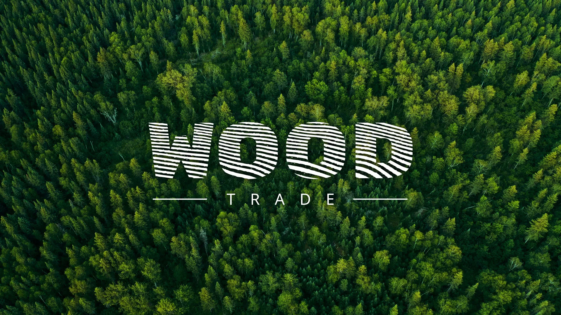 Разработка интернет-магазина компании «Wood Trade» в Междуреченске
